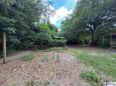 601 E Washington St, Dillon, SC 29536 photo 45