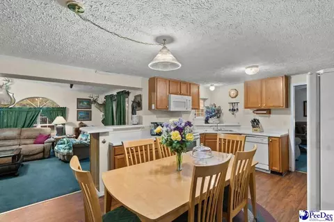 214 E Legette Rd, Marion, SC 29571 photo 11