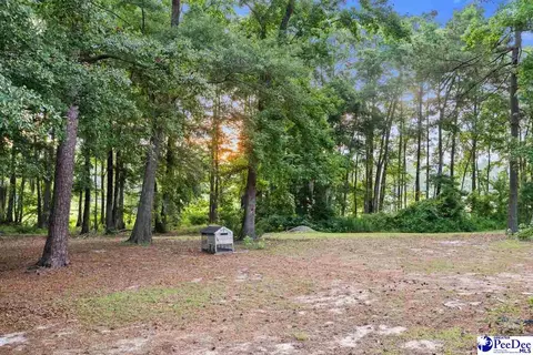 214 E Legette Rd, Marion, SC 29571 photo 22