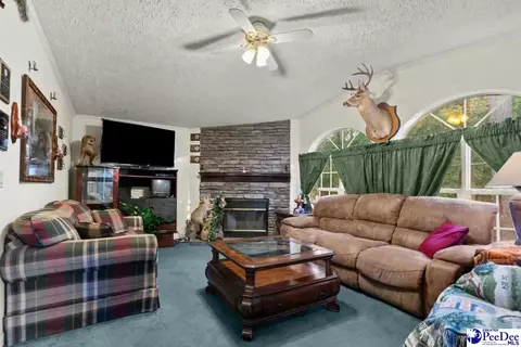 214 E Legette Rd, Marion, SC 29571 photo 12