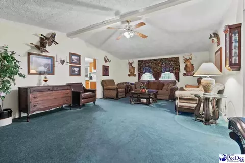 214 E Legette Rd, Marion, SC 29571 photo 5