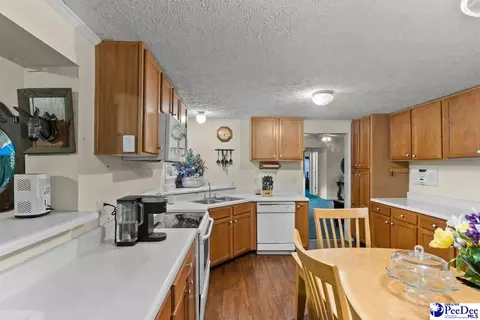 214 E Legette Rd, Marion, SC 29571 photo 10