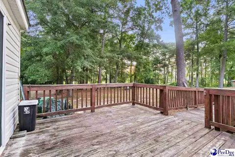 214 E Legette Rd, Marion, SC 29571 photo 20