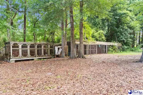 214 E Legette Rd, Marion, SC 29571 photo 24