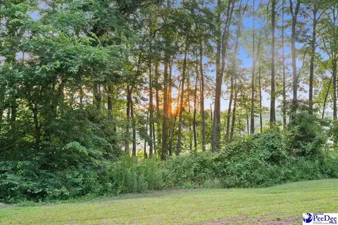 214 E Legette Rd, Marion, SC 29571 photo 23