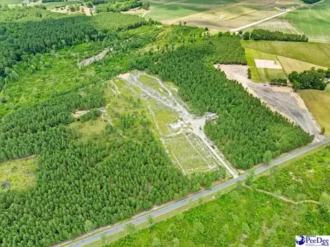 tbd Cockfield Rd, Scranton, SC 29591 photo 6