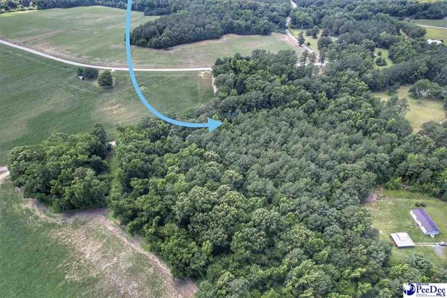 lot2 Meadow Ct, Lake View, SC 29563