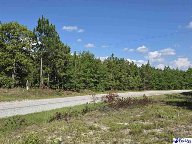 0000000 Black Creek Rd, County, SC 29727