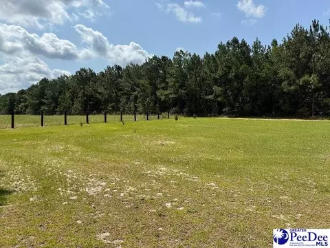 000 Winery, Patcrick, SC 29584 photo 3