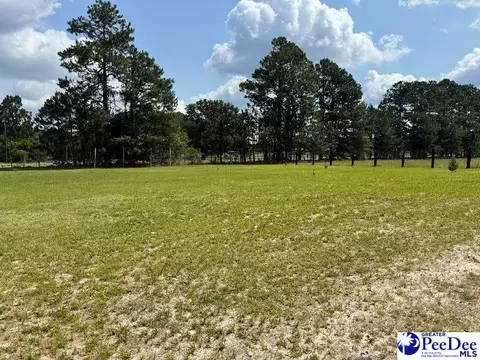 000 Winery, Patcrick, SC 29584 photo 1