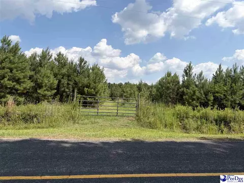 tbd Highway 556, Scranton, SC 29591