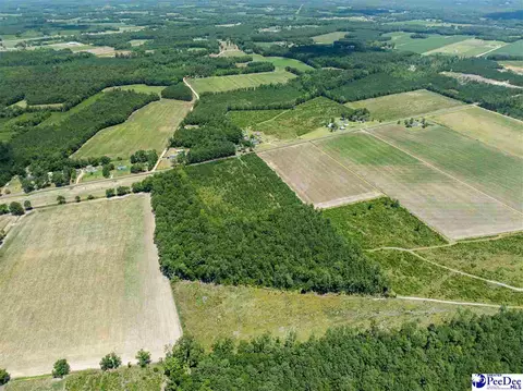 tbd Highway 556, Scranton, SC 29591 photo 10
