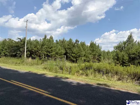 tbd Highway 556, Scranton, SC 29591 photo 5