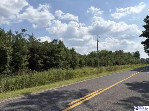 tbd Highway 556, Scranton, SC 29591 photo 2