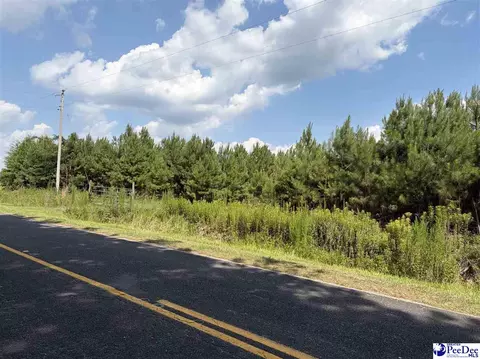 tbd Highway 556, Scranton, SC 29591 photo 6