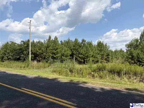 tbd Highway 556, Scranton, SC 29591 photo 4