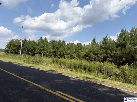 tbd Highway 556, Scranton, SC 29591 photo 3