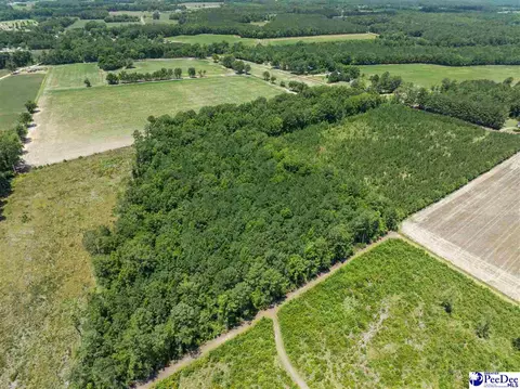 tbd Highway 556, Scranton, SC 29591 photo 12