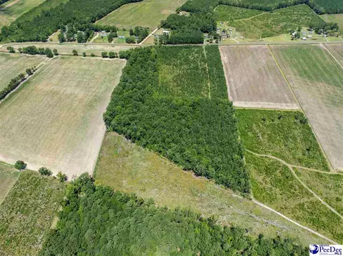 tbd Highway 556, Scranton, SC 29591 photo 11