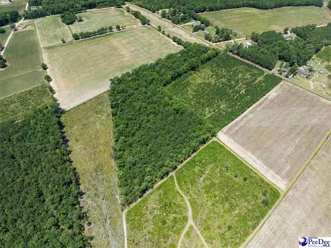 tbd Highway 556, Scranton, SC 29591 photo 14