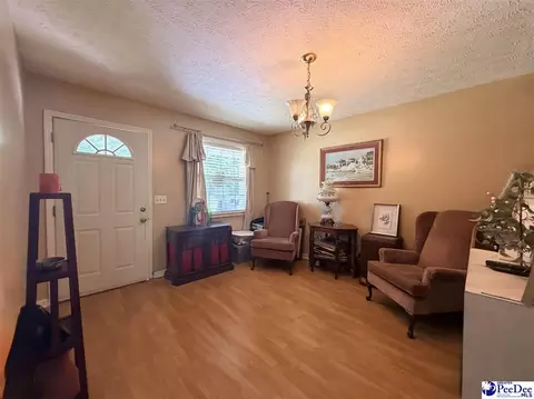 546 Lakeside Ct, Dillon, SC 29536 photo 2