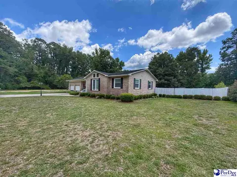 546 Lakeside Ct, Dillon, SC 29536 photo 16