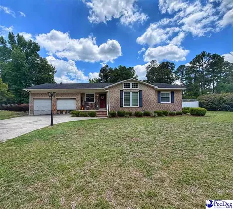546 Lakeside Ct, Dillon, SC 29536 photo 1