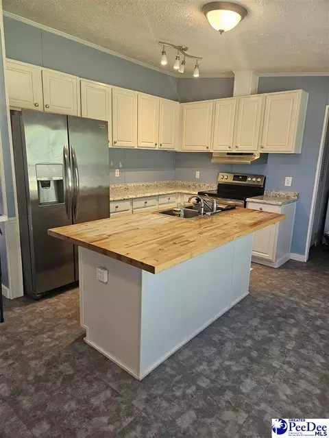 667 Higgins Rd, Dillon, SC 29536 photo 5