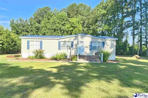 667 Higgins Rd, Dillon, SC 29536 photo 1