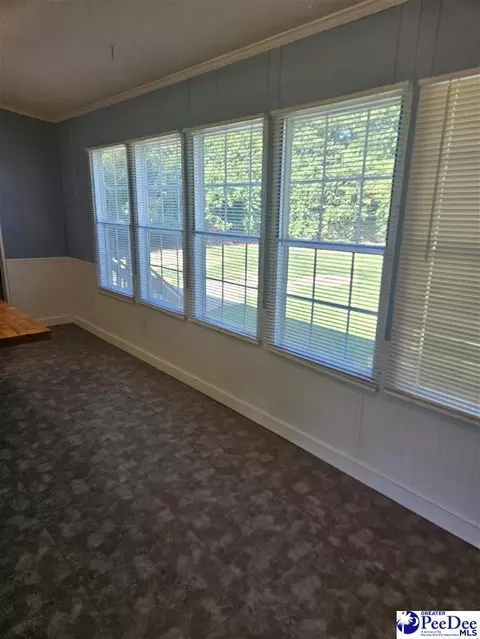 667 Higgins Rd, Dillon, SC 29536 photo 3