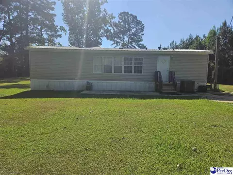 667 Higgins Rd, Dillon, SC 29536 photo 14