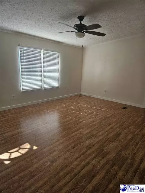667 Higgins Rd, Dillon, SC 29536 photo 6
