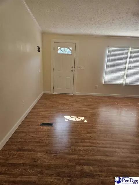 667 Higgins Rd, Dillon, SC 29536 photo 2