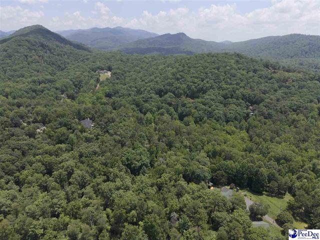 126 Valley Lake Trl, Travelers Rest, SC 29690