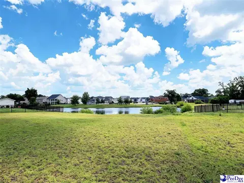 1052 Summer Duck Loop, Florence, SC 29501 photo 29
