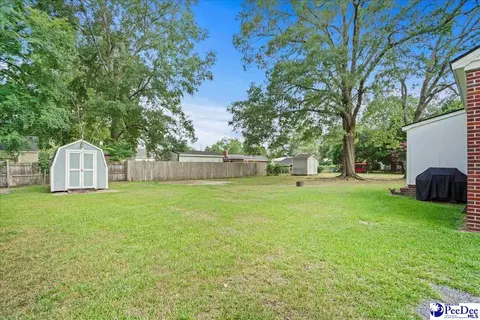 Exterior - 59 Lynn Ave, Cheraw, SC 29520 photo 4 of 7