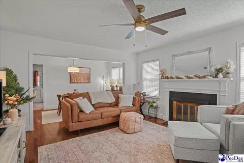 Living - 59 Lynn Ave, Cheraw, SC 29520 photo 1 of 1