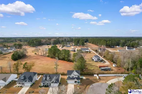 View/Area - 403 Dunbarton Ct, Conway, SC 29526 photo 1 of 5
