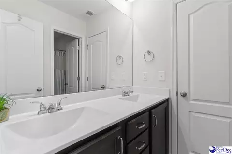Bath - 403 Dunbarton Ct, Conway, SC 29526 photo 3 of 5