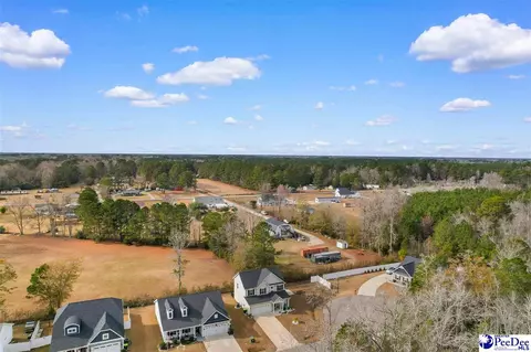 View/Area - 403 Dunbarton Ct, Conway, SC 29526 photo 3 of 5