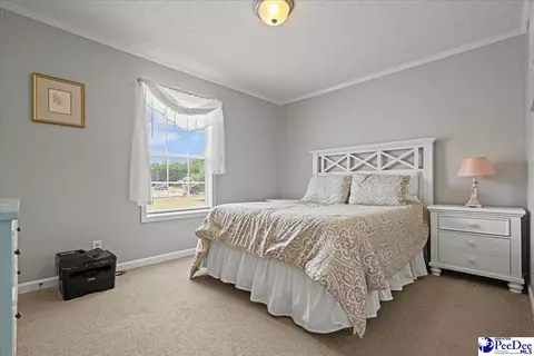 1540 Una Rd, Lamar, SC 29069 photo 10