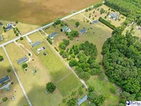 1540 Una Rd, Lamar, SC 29069 photo 33