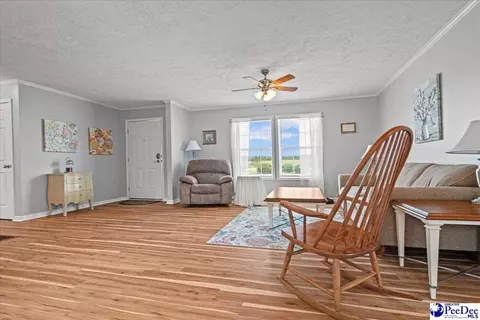 1540 Una Rd, Lamar, SC 29069 photo 6