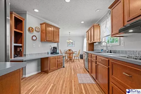 1540 Una Rd, Lamar, SC 29069 photo 18