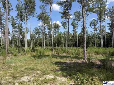 tbd Ebenezer Rd, Bennettsville, SC 29512