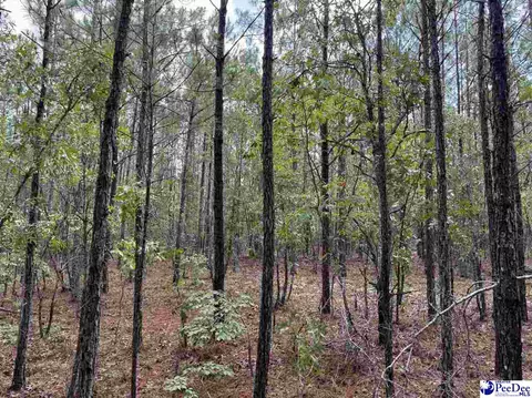 tbd Wire 2 Rd, Cheraw, SC 29520 photo 6
