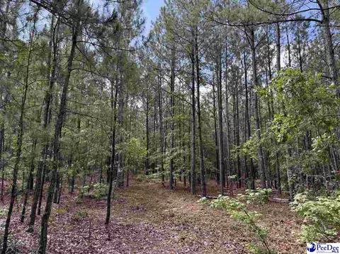 tbd Wire 2 Rd, Cheraw, SC 29520 photo 5