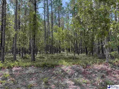 tbd Wire 2 Rd, Cheraw, SC 29520 photo 2