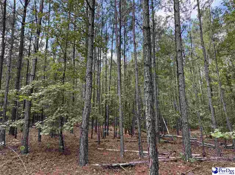 tbd Wire 2 Rd, Cheraw, SC 29520 photo 7