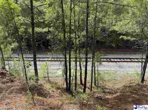 tbd Wire 2 Rd, Cheraw, SC 29520 photo 9